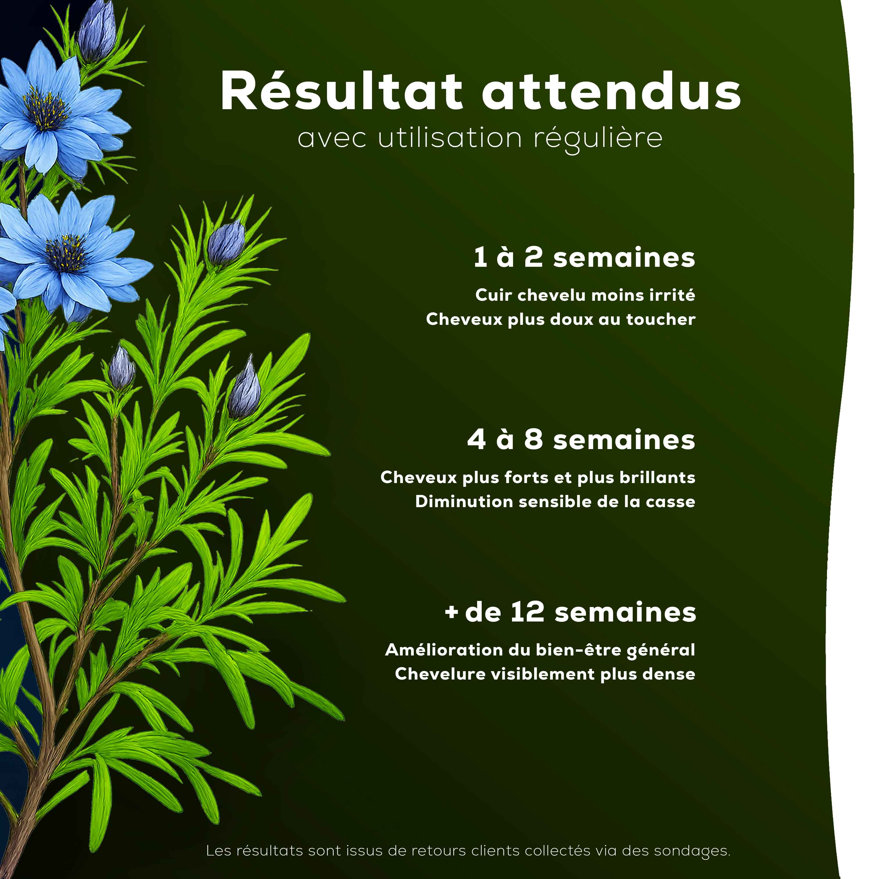 Shampoing à l’Huile de Nigelle